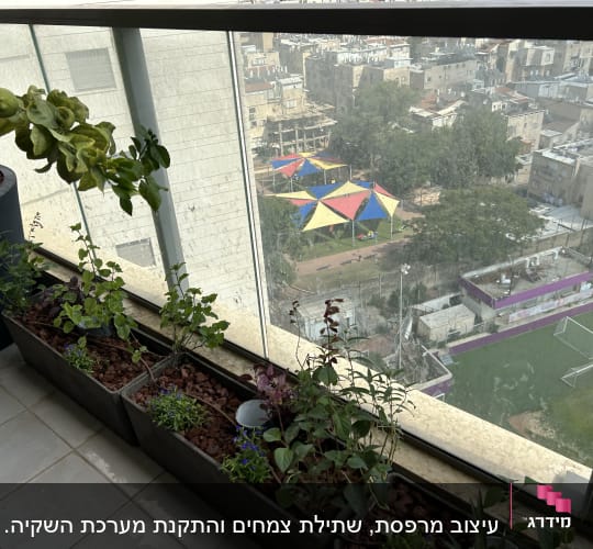 עציצים עם צמחים שונים על מרפסת